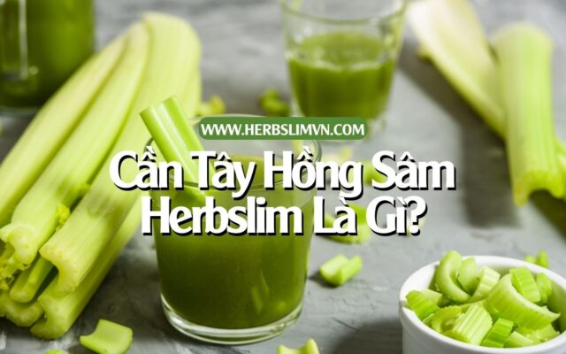 Giải Mã Sức Hút Của Bột Cần Tây Hồng Sâm Herbslim herbslim 1