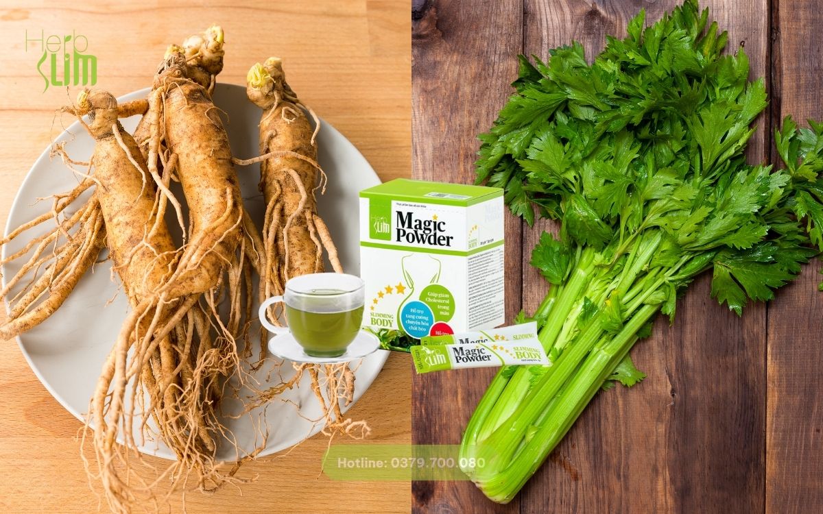 Thành Phần Và Công Dụng Vượt Trội Của Bột Cần Tây Hồng Sâm Herbslim Magic Powder 4